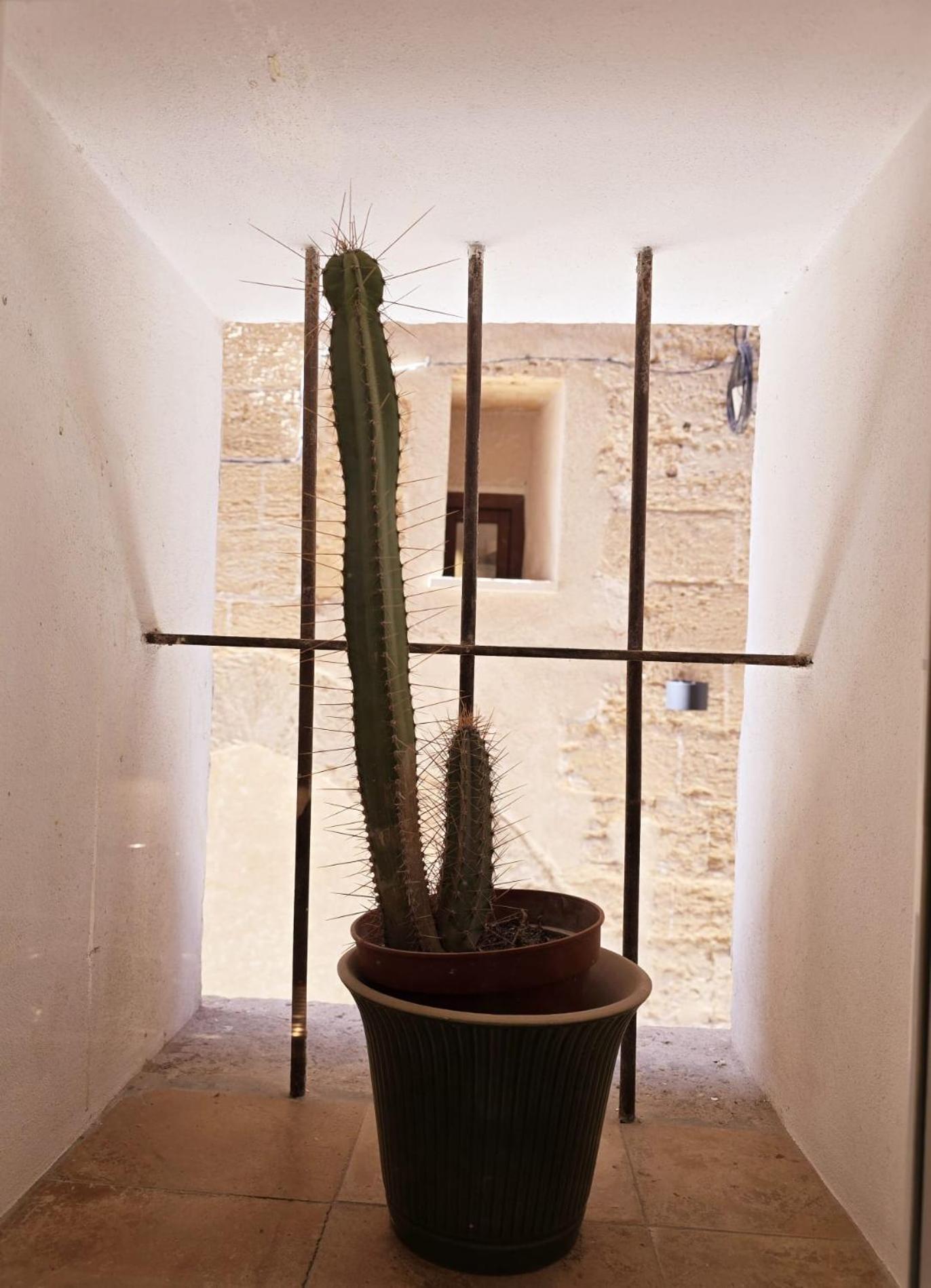 Apartamento San Jaime Palace - *